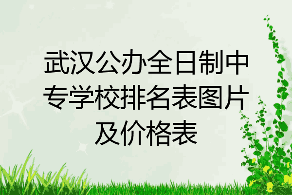 武汉公办全日制中专学校排名表图片及价格表