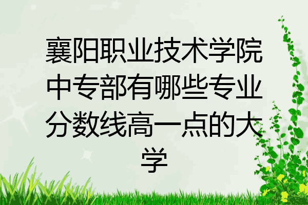 襄阳职业技术学院中专部有哪些专业分数线高一点的大学