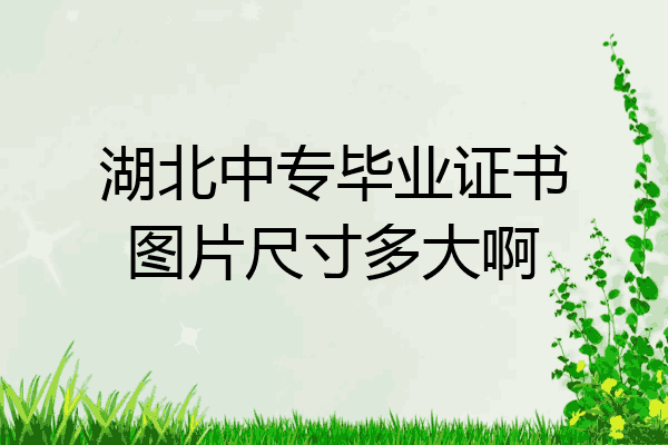 湖北中专毕业证书图片尺寸多大啊