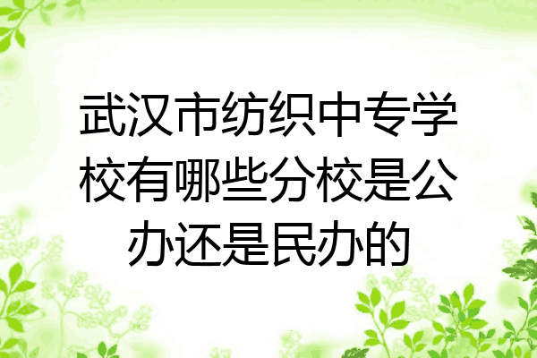 武汉市纺织中专学校有哪些分校是公办还是民办的