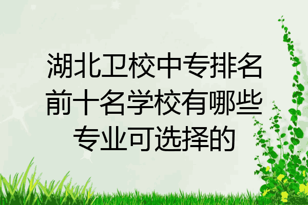 湖北卫校中专排名前十名学校有哪些专业可选择的