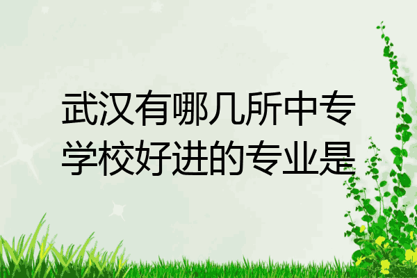 武汉有哪几所中专学校好进的专业是