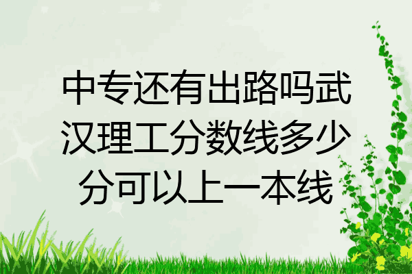 中专还有出路吗武汉理工分数线多少分可以上一本线