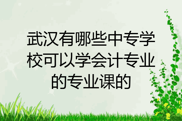 武汉有哪些中专学校可以学会计专业的专业课的