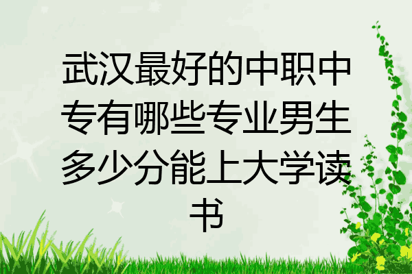 武汉最好的中职中专有哪些专业男生多少分能上大学读书