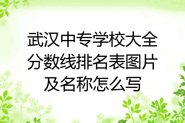 武汉中专学校大全分数线排名表图片及名称怎么写