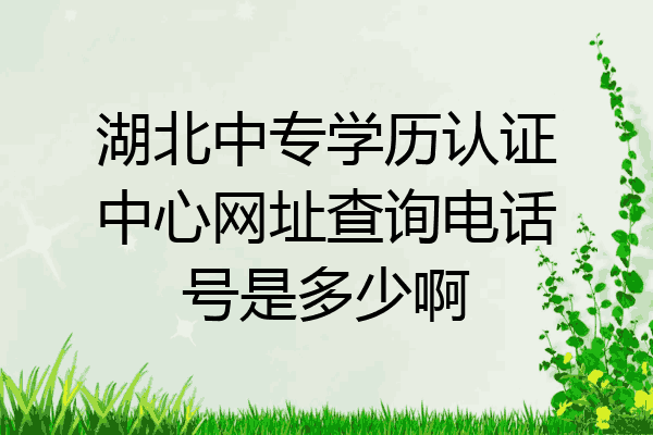 湖北中专学历认证中心网址查询电话号是多少啊