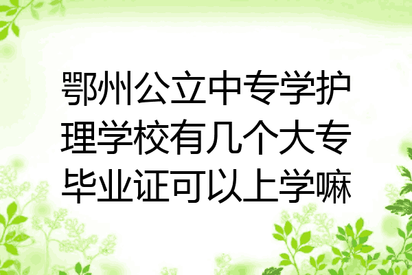 鄂州公立中专学护理学校有几个大专毕业证可以上学嘛
