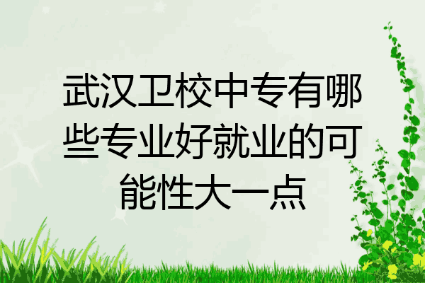 武汉卫校中专有哪些专业好就业的可能性大一点