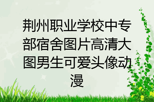 荆州职业学校中专部宿舍图片高清大图男生可爱头像动漫