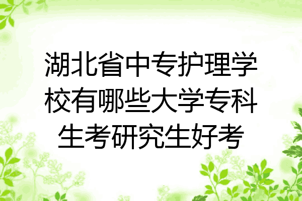湖北省中专护理学校有哪些大学专科生考研究生好考