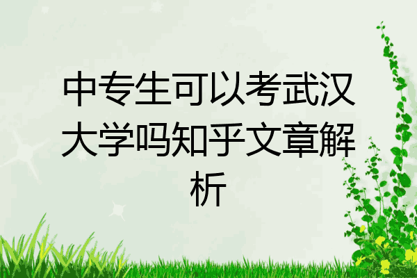 中专生可以考武汉大学吗知乎文章解析
