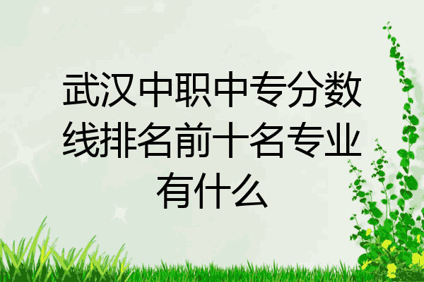 武汉中职中专分数线排名前十名专业有什么