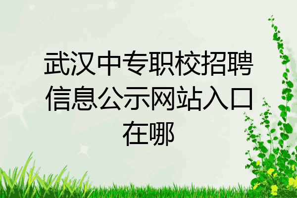 武汉中专职校招聘信息公示网站入口在哪