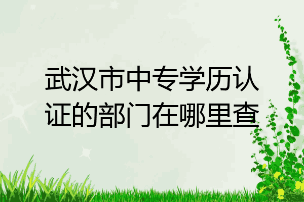 武汉市中专学历认证的部门在哪里查