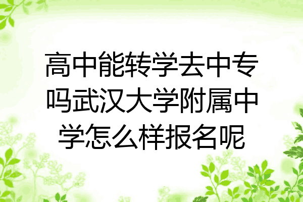 高中能转学去中专吗武汉大学附属中学怎么样报名呢