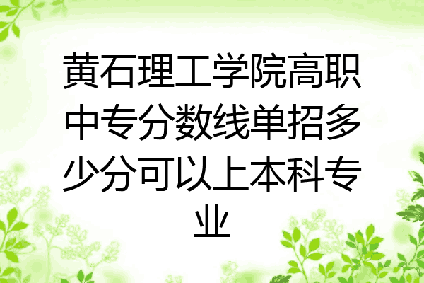 黄石理工学院高职中专分数线单招多少分可以上本科专业