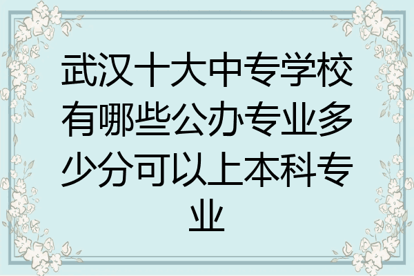 武汉十大中专学校有哪些公办专业多少分可以上本科专业