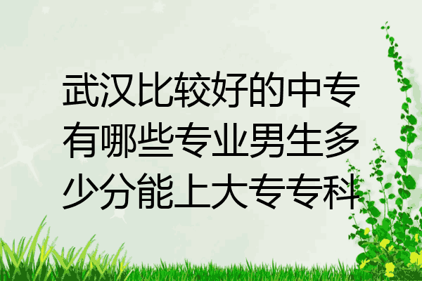 武汉比较好的中专有哪些专业男生多少分能上大专专科