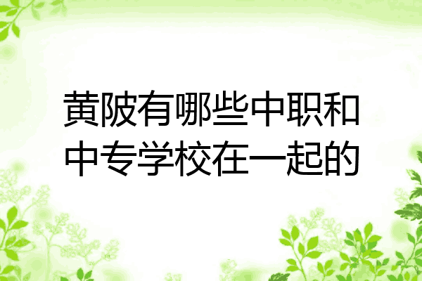 黄陂有哪些中职和中专学校在一起的