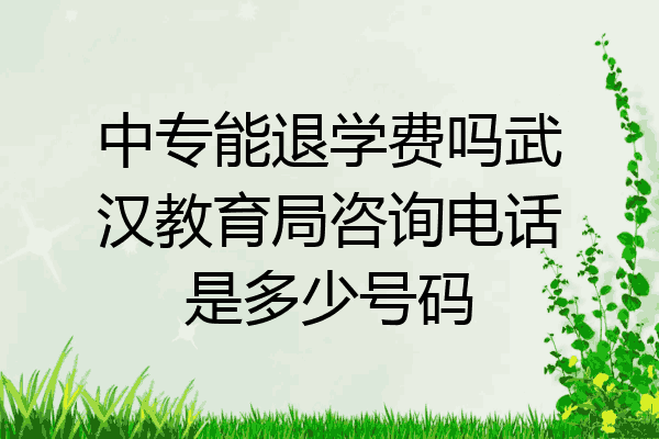 中专能退学费吗武汉教育局咨询电话是多少号码