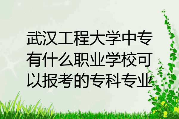 武汉工程大学中专有什么职业学校可以报考的专科专业