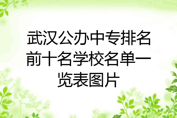 武汉公办中专排名前十名学校名单一览表图片