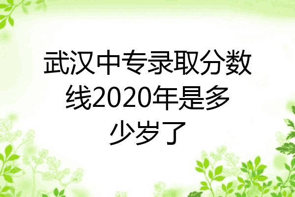 武汉中专录取分数线2020年是多少岁了