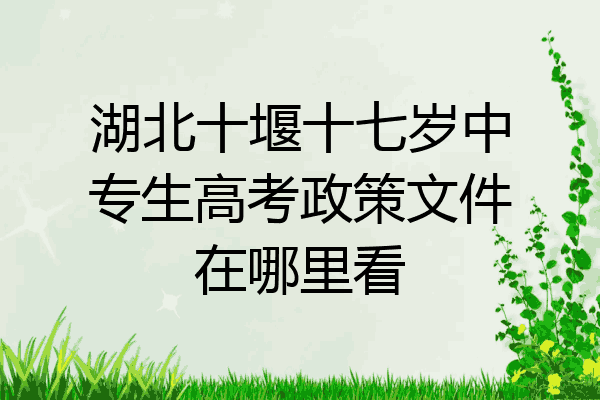 湖北十堰十七岁中专生高考政策文件在哪里看
