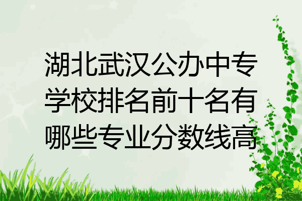 湖北武汉公办中专学校排名前十名有哪些专业分数线高