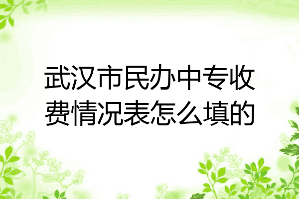 武汉市民办中专收费情况表怎么填的