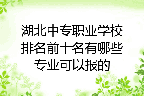 湖北中专职业学校排名前十名有哪些专业可以报的
