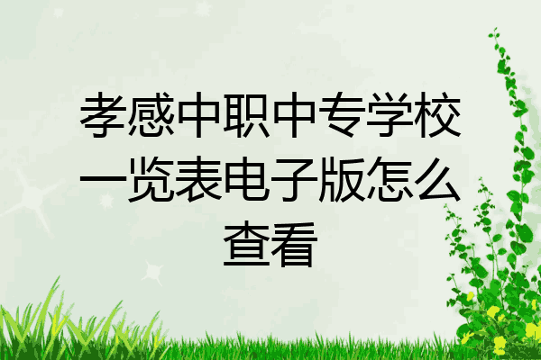 孝感中职中专学校一览表电子版怎么查看