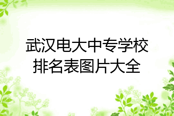 武汉电大中专学校排名表图片大全