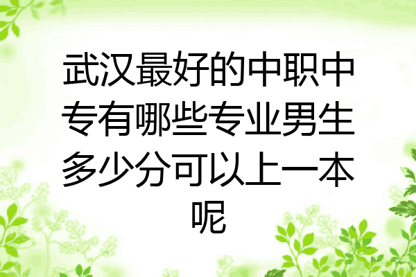 武汉最好的中职中专有哪些专业男生多少分可以上一本呢
