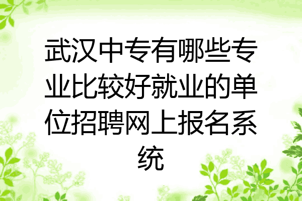 武汉中专有哪些专业比较好就业的单位招聘网上报名系统