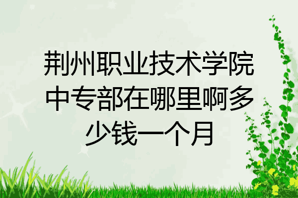 荆州职业技术学院中专部在哪里啊多少钱一个月