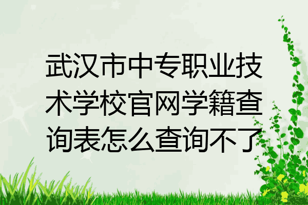 武汉市中专职业技术学校官网学籍查询表怎么查询不了