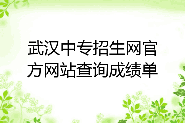 武汉中专招生网官方网站查询成绩单