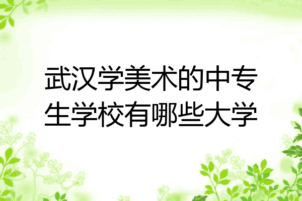 武汉学美术的中专生学校有哪些大学