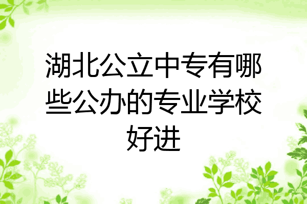 湖北公立中专有哪些公办的专业学校好进