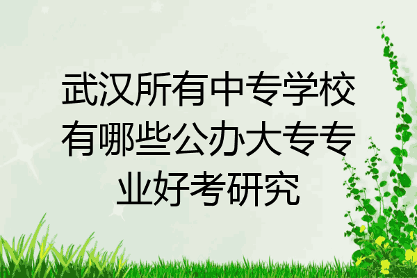 武汉所有中专学校有哪些公办大专专业好考研究