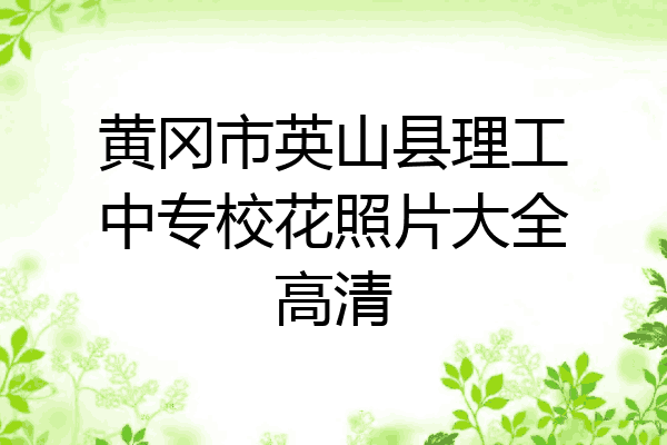 黄冈市英山县理工中专校花照片大全高清