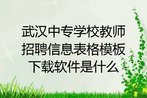 武汉中专学校教师招聘信息表格模板下载软件是什么