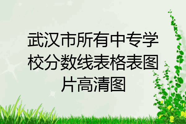 武汉市所有中专学校分数线表格表图片高清图