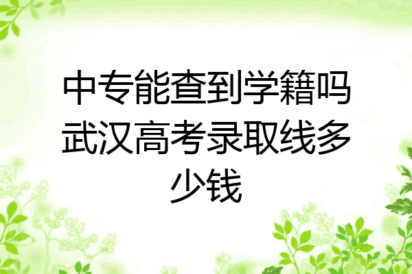 中专能查到学籍吗武汉高考录取线多少钱