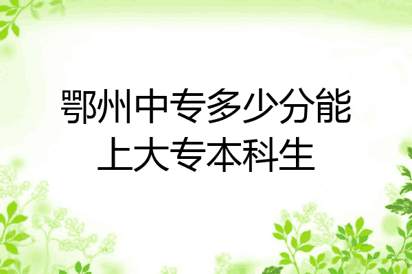 鄂州中专多少分能上大专本科生