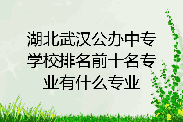 湖北武汉公办中专学校排名前十名专业有什么专业