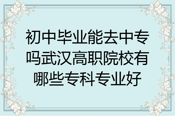 初中毕业能去中专吗武汉高职院校有哪些专科专业好