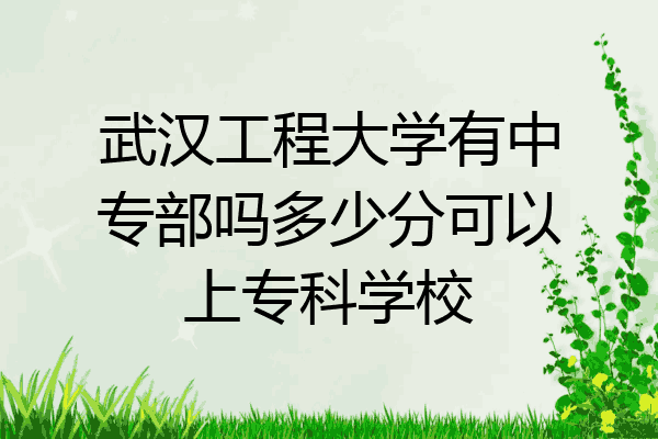 武汉工程大学有中专部吗多少分可以上专科学校
